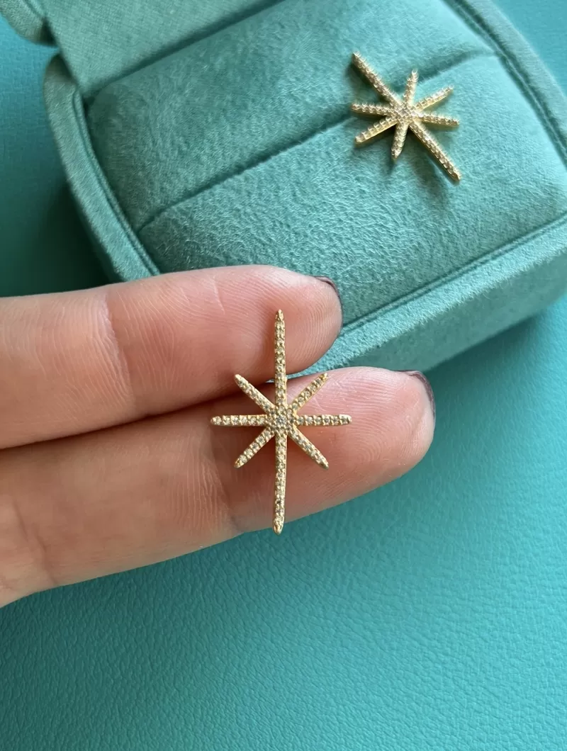 Mikabe - Gold Studded Star Earring - MK1808