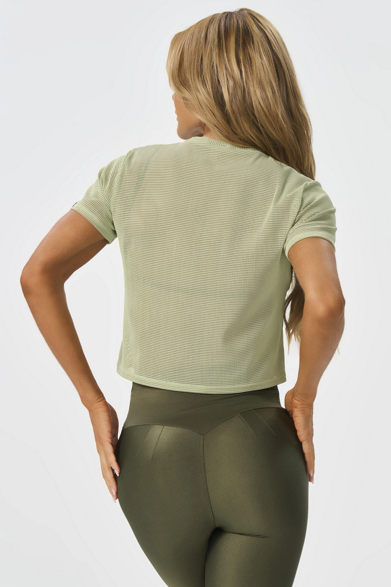 Lets Gym - Shirt Box Mc Screen Salvia - 2650SV