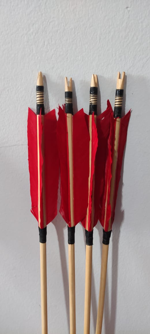 Takebow - Conjunto com 4 flechas - F210