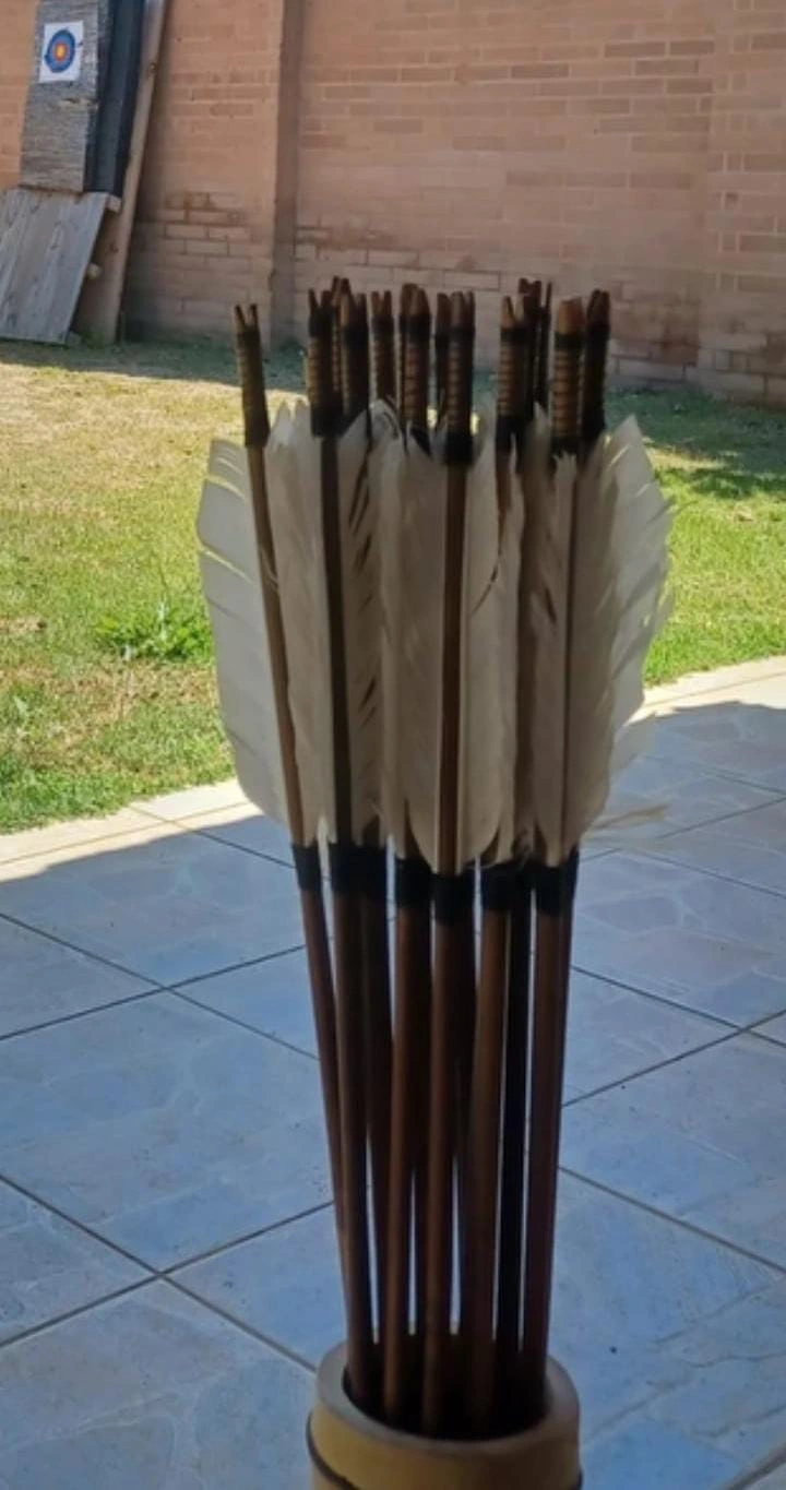  - Flechas de precisão. Conjunto com dez - 