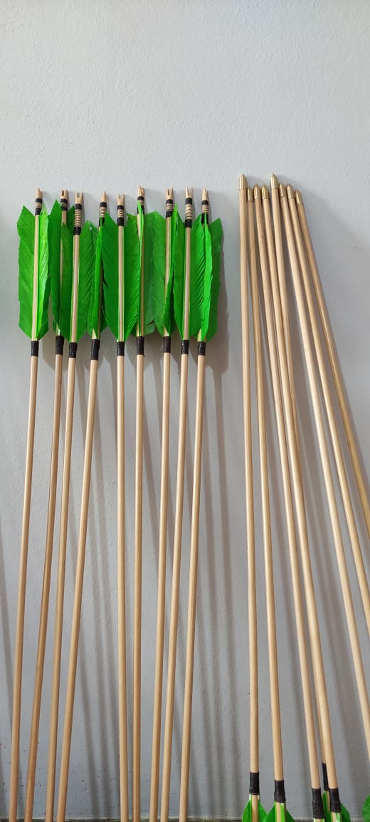 Takebow - Conjunto com 10 flechas - 